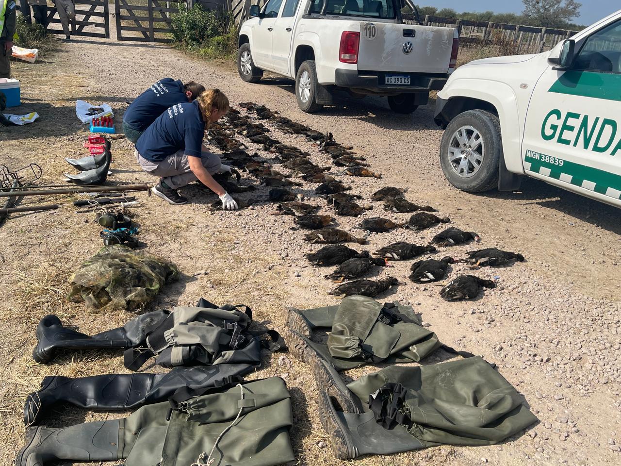 Turistas extranjeros demorados por caza ilegal en el norte de la provincia de Santa Fe